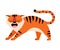 Striped Tiger with Orange Fur Humping and Roaring Vector Illustration
