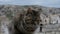 Striped wild cat face closing eyes motion details on matera blur background,pets