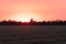 stripes of mowed wheat lie on the field. in the background is a sunset on a pink sky. in the summer