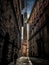 A stroll in the streets of Siena