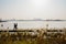 Strollers walking on lakeside planked path in sunny winter after