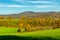 Strolling through the glorious sunshine on an autumn day near Steinbach-Hallenberg