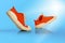 Strolling sports white-orange shoes over blue background. Sneakers or trainers isolated. Athletic shoes. fitness, sport