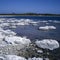 Stromatolites