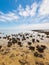 The Stromatolites in the Area of Shark Bay, Western Australia. Australasia