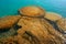 Stromatolites in Bacalar Lagoon of Mexico