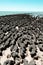 Stromatolites of Hamelin Pool in Shark Bay, Western Australia