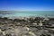 Stromatolites Hamelin Pool Shark Bay Western Australia