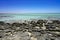 Stromatolites Hamelin Pool Shark Bay Western Australia