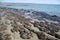 Stromatolites at Hamelin Pool Western Australia