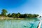 Stromatolites lagoon Bacalar Mexico