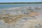 Stromatolites - Lake Thetis