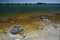 Stromatolites. Lake Thetis. Cervantes. Shire of Dandaragan. Western Australia. Australia