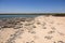 Stromatolites Lake Thetis Western Australia