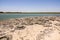 Stromatolites Lake Thetis Western Australia