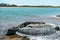 Stromatolites in saline coastal lake - Lake Thetis