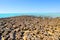 Stromatolites, Shark Bay, Western Australia