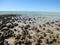 Stromatolites, Shark Bay, Western Australia