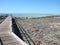 Stromatolites, Shark Bay, Western Australia