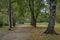 Stromovka park with trees forest and pond Bagr in autumn morning