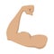 Strong biceps cartoon icon