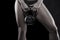 Strong bodybuilder woman holding kettlebell isolated