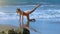 Strong Foamy Waves Wash Girl Body Doing Exercise on Beach