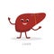 Strong healthy liver cartoon character isolated on white background. Happy liver icon vector flat design. Healthy organ