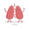 Strong healthy lungs cartoon character isolated on white background. Happy lungs icon vector flat design. Healthy organ