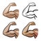 Strong male arm, hand muscles, biceps icon or symbol. Gym, health, protein logo. Cartoon vector illustration