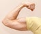 Strong male arm shows biceps