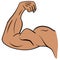 Strong Male Arm. Symbol of Power and Muscle