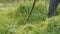 Strong man farmer mows a green grass with hand scythe on the background of the setting sun. Hay harvest