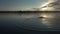 Strong man swims crawl in a nice lake at sunset