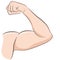 Strong Muscles Male Arm Flexing Bicep