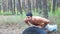 Strong and muscular man doing push ups in forest. Happy sportsman exercising at nature. Portrait of smiling athletic guy