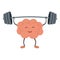 Strong powerful brain holding heavy barbell. Intelligence, mind, imagination, creativity, knowledge and education