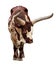 Strong red brown bull ox