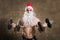 Strong Santa Claus training biceps