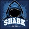 Strong shark sports mascot. Vector illustration.