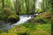 Strong and small torrent of sparkling water on the ulla river, la coruÃ±a