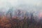 Strong smoke in steppe. Forest and steppe fires destroy fields and steppes during severe droughts. Fire, strong smoke. Blur focus