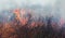 Strong smoke in steppe. Forest and steppe fires destroy fields and steppes during severe droughts. Fire, strong smoke. Blur focus