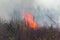 Strong smoke in steppe. Forest and steppe fires destroy fields and steppes during severe droughts. Fire, strong smoke. Blur focus