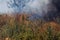 Strong smoke in steppe. Forest and steppe fires destroy fields and steppes during severe droughts. Fire, strong smoke. Blur focus