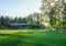 Strong Sun shines through birch crown and reflects from the roof of wooden red cabin, young green wheat or oat field in front of