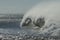Strong tropical wind creating spray on a huge breaking wave