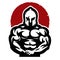Strong warrior gladiator muscular body