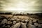 Strong wave splashing on the rocky shores