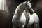 strong white stallion in stable with saddle and bridle dancing horse